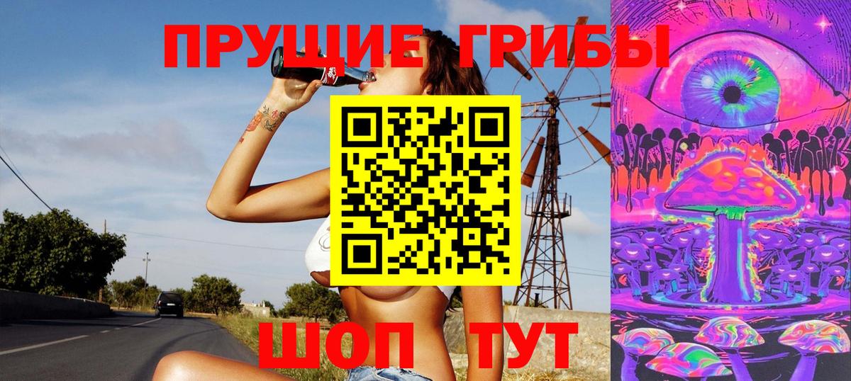 Дзержинск  Псилоцибиновые грибы Psilocybe  Вход с VPN 